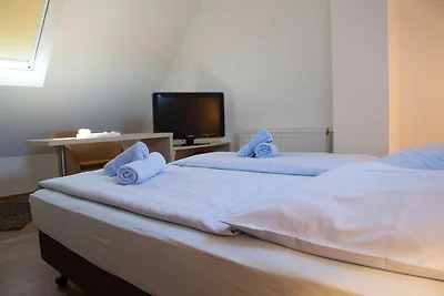 Albergo Cultura ed escursioni Butjadingen