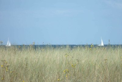 Vakantieappartement Gezinsvakantie Diedrichshagen