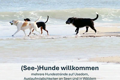 Heringsdorf, FeWo Lotti