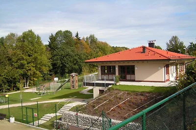 Albergo Cultura ed escursioni Siegsdorf