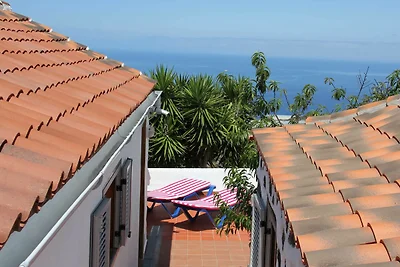 El Horizonte