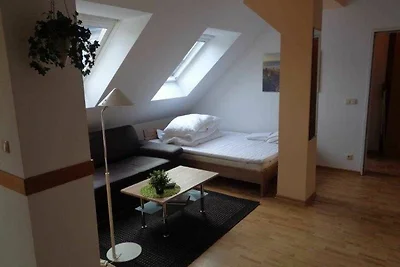 Albergo Cultura ed escursioni Dierhagen