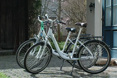 Ferienhaus Das Spreewaldhaus