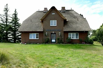 Heidsandschier-Hausteil Tornerose