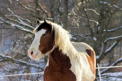 Appartamento Vacanza con famiglia Eggolsheim