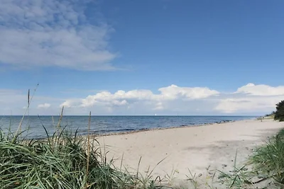 Vakantieappartement Gezinsvakantie Kalkhorst