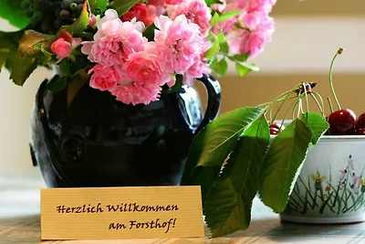 Ferienwohnung Klatschmohn