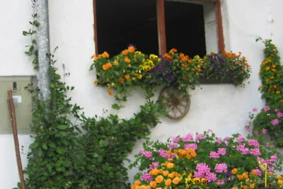 Vakantieappartement Gezinsvakantie Fischbachau