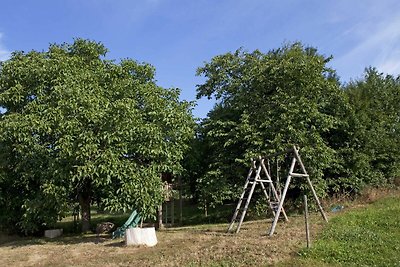 Elsbacher Hof - Ferienwohnung Feld-Wald-Wiese