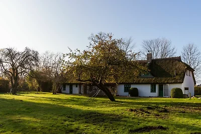 Albergo Cultura ed escursioni Neuenkirchen