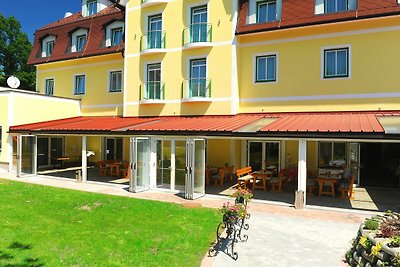 Hotel Cultuur en bezienswaardigheden Schladming-Dachstein