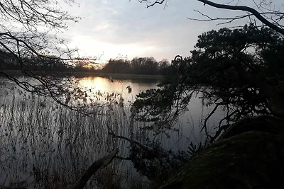 Vakantieappartement Gezinsvakantie Dobbin-Linstow