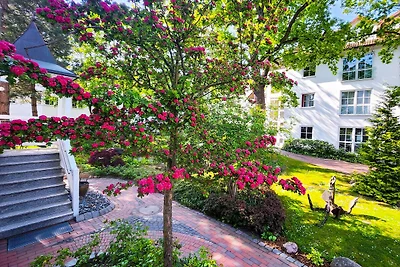 Albergo Cultura ed escursioni Binz