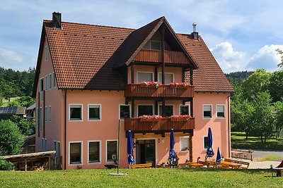 Albergo Cultura ed escursioni Pottenstein