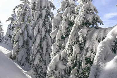 Appartamento Vacanza con famiglia Eisenberg