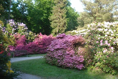 Albergo Cultura ed escursioni Graal-Müritz