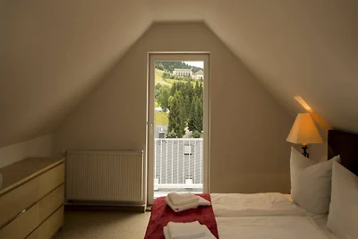 Albergo Cultura ed escursioni Oberwiesenthal