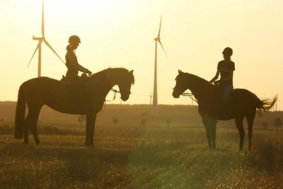 2) FeWo 3-Raum (60m², 5 Pers., OG, Südseite)