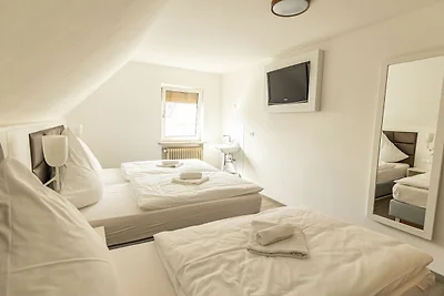 Hotel Cultuur en bezienswaardigheden Hollfeld