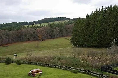 Vakantieappartement Gezinsvakantie Sankt Andreasberg