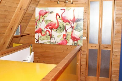 Domek letniskowy Urlop wypoczynkowy Damp