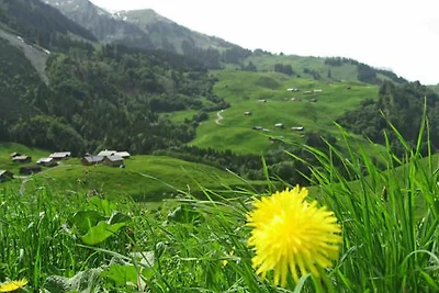 Vakantieappartement Gezinsvakantie Schoppernau