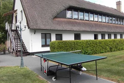 Hotel Cultuur en bezienswaardigheden Dreschvitz