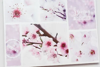 Ferienwohnung Scholle