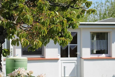 Appartamento Vacanza con famiglia Hiddensee