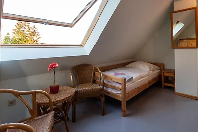 Albergo Cultura ed escursioni Neuenkirchen