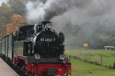 Whg. 4 Sumpfschwalbe Souterrain