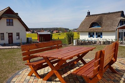 Holiday home relaxing holiday Zierow