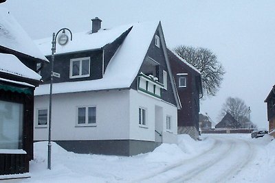 Vakantieappartement Gezinsvakantie Benneckenstein