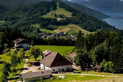 Appartamento Vacanza con famiglia Weyregg am Attersee