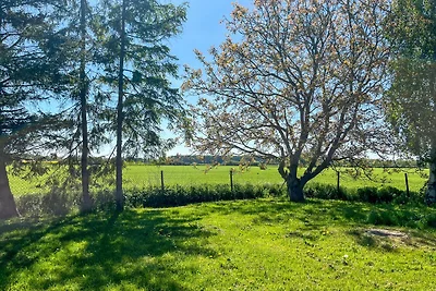 Vakantieappartement Gezinsvakantie Neu Bartelshagen