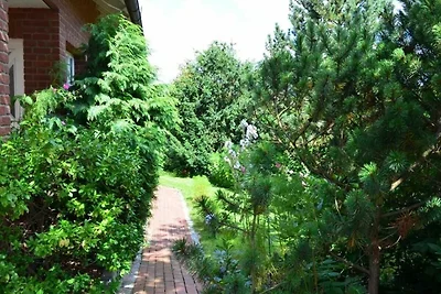 Vakantieappartement Gezinsvakantie Münden