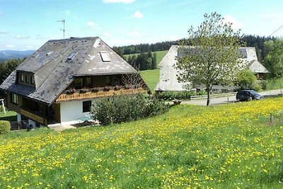 Vakantieappartement Gezinsvakantie St. Märgen