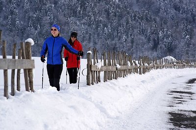 Appartamento Vacanza con famiglia Mellau