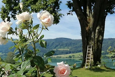 Apartament Dla rodzin Oberhofen am Irrsee