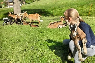 Appartamento Vacanza con famiglia Fischbachau