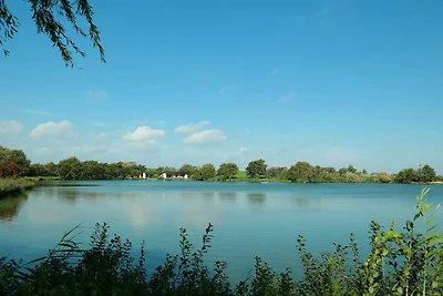 Haus Deichschaf