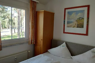 Albergo Cultura ed escursioni Dierhagen