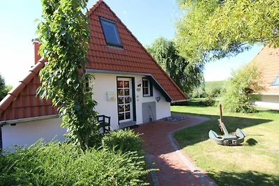 SV3 Hans Albers 13
