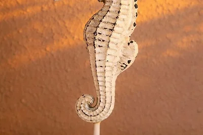 Haus Calidris Whg 09