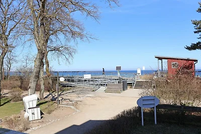 Schwarzer Bär Whg. Bär 03