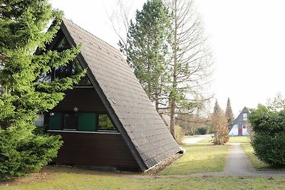 Albergo Cultura ed escursioni Waldbrunn