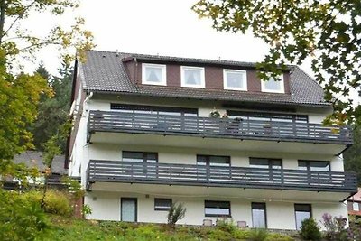 Vakantieappartement Gezinsvakantie Altenau