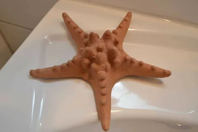 Ferienwohnung Ostsee (EG) - barrierefrei