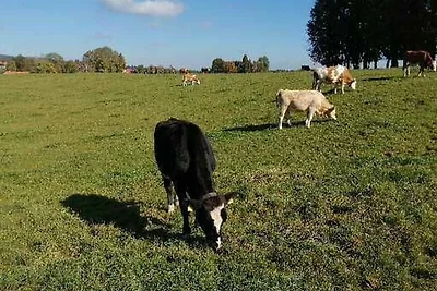 Vakantieappartement Gezinsvakantie Warngau