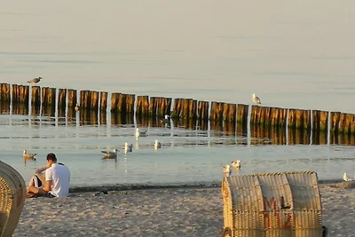 Ferienhaus an den Weiden 9